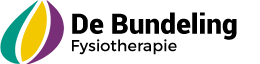 de-bundeling-fysiotherapie.png (1)