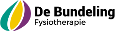 de-bundeling-fysiotherapie.png (1)