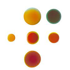 Zorgpolissen in 2022